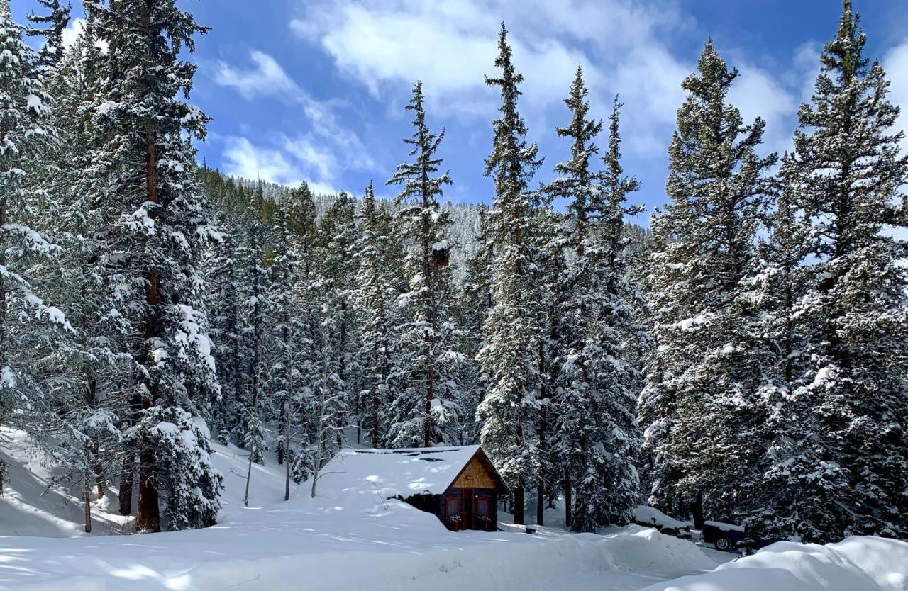Pioneer Guest Cabins Крестед-Бьютт Экстерьер фото