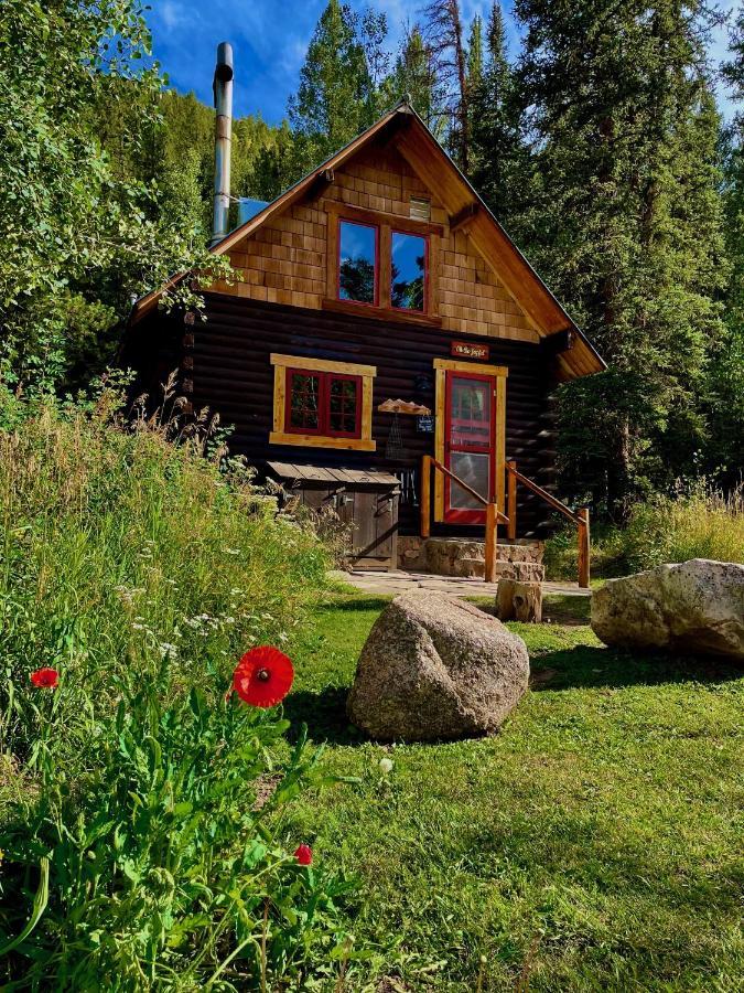 Pioneer Guest Cabins Крестед-Бьютт Экстерьер фото