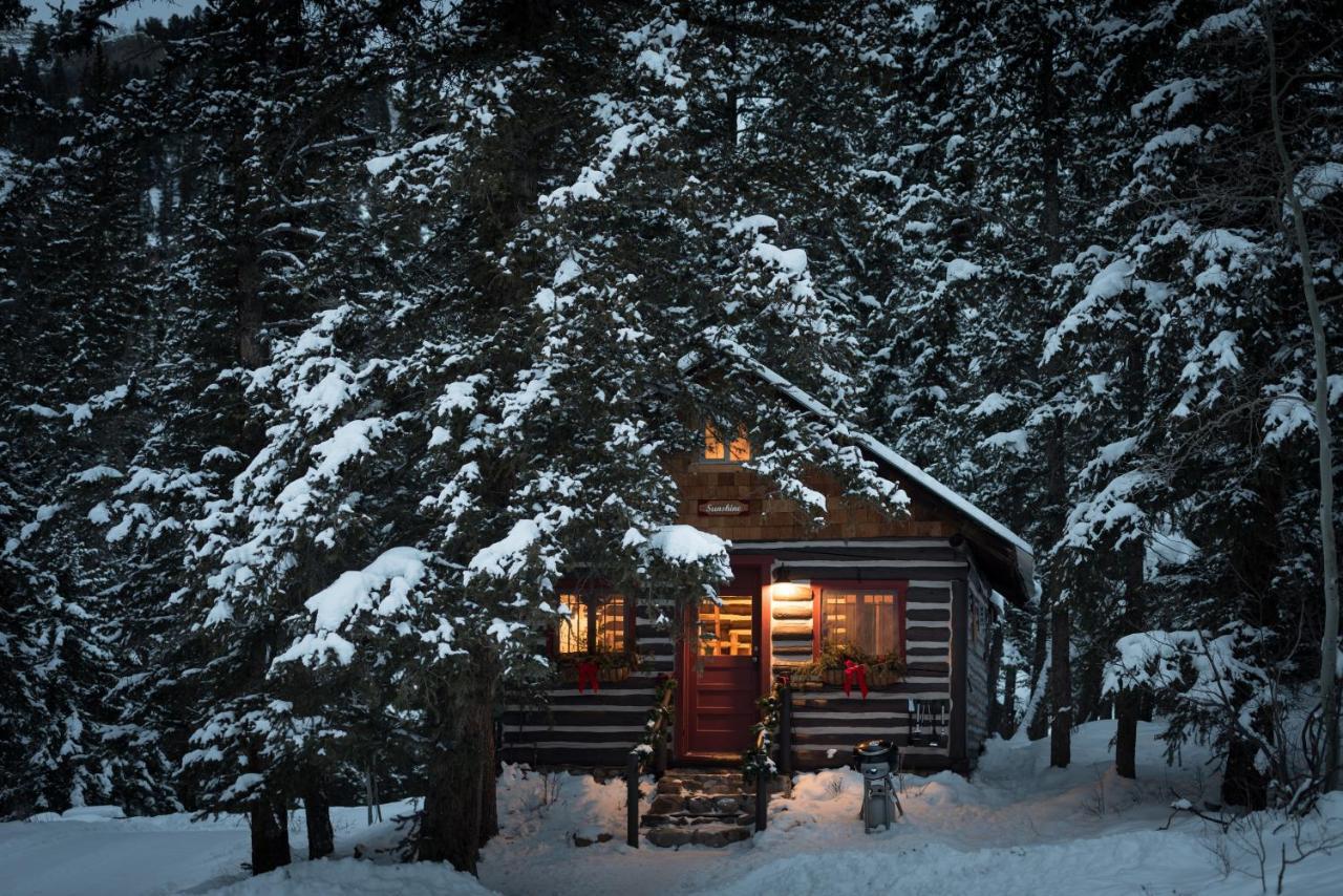Pioneer Guest Cabins Крестед-Бьютт Экстерьер фото