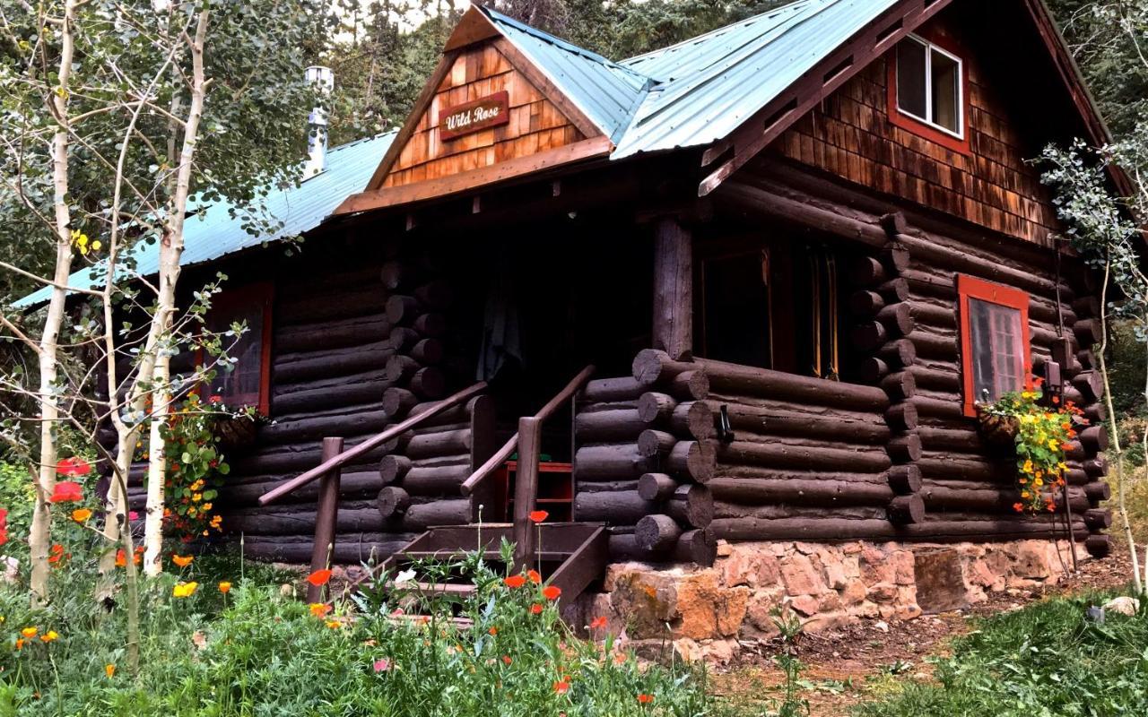 Pioneer Guest Cabins Крестед-Бьютт Экстерьер фото